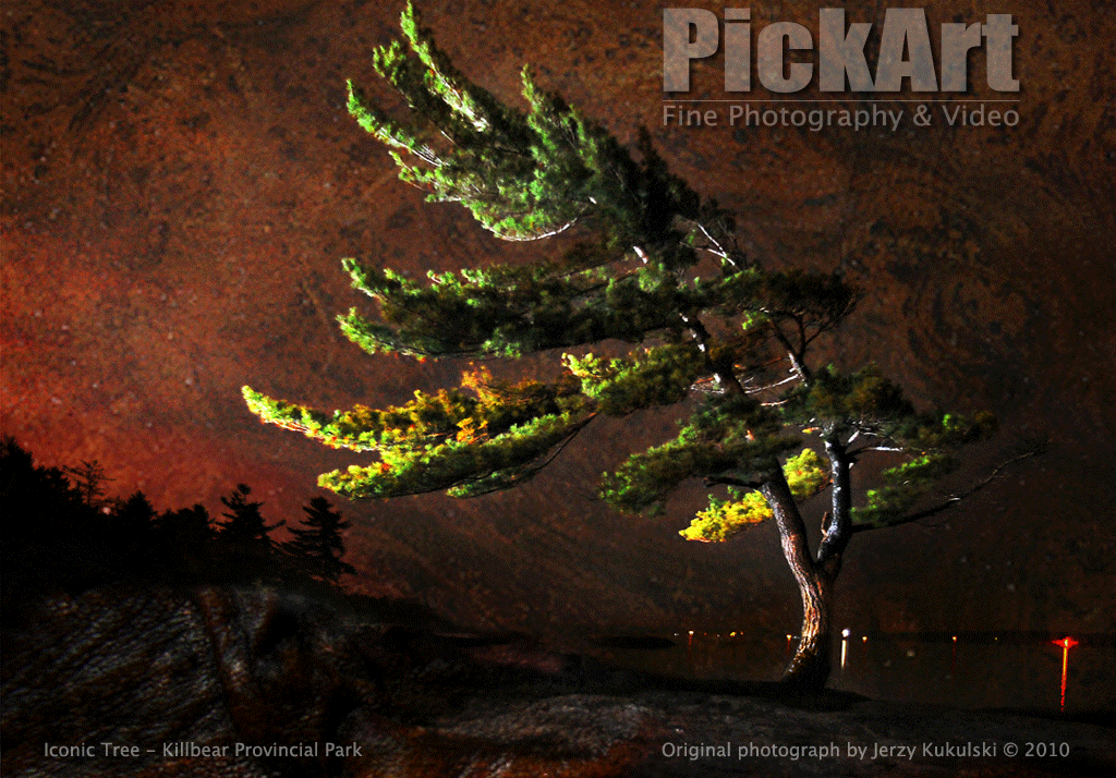 toronto wedding photographer